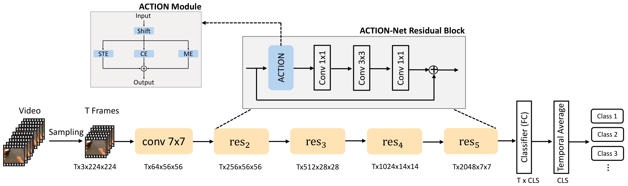 ACTION-Net: Multipath Excitation for Action Recognition