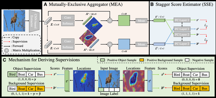 Background-aware Classification Activation Map for Weakly Supervised Object Localization