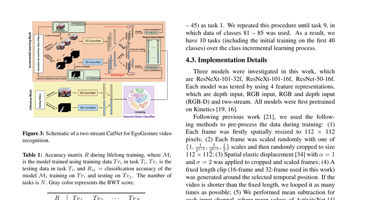 CatNet: Class Incremental 3D ConvNets for Lifelong Egocentric Gesture Recognition