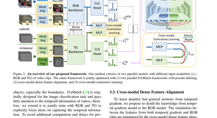 Learning from Temporal Gradient for Semi-supervised Action Recognition