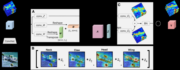 Unifying Nonlocal Blocks for Neural Networks